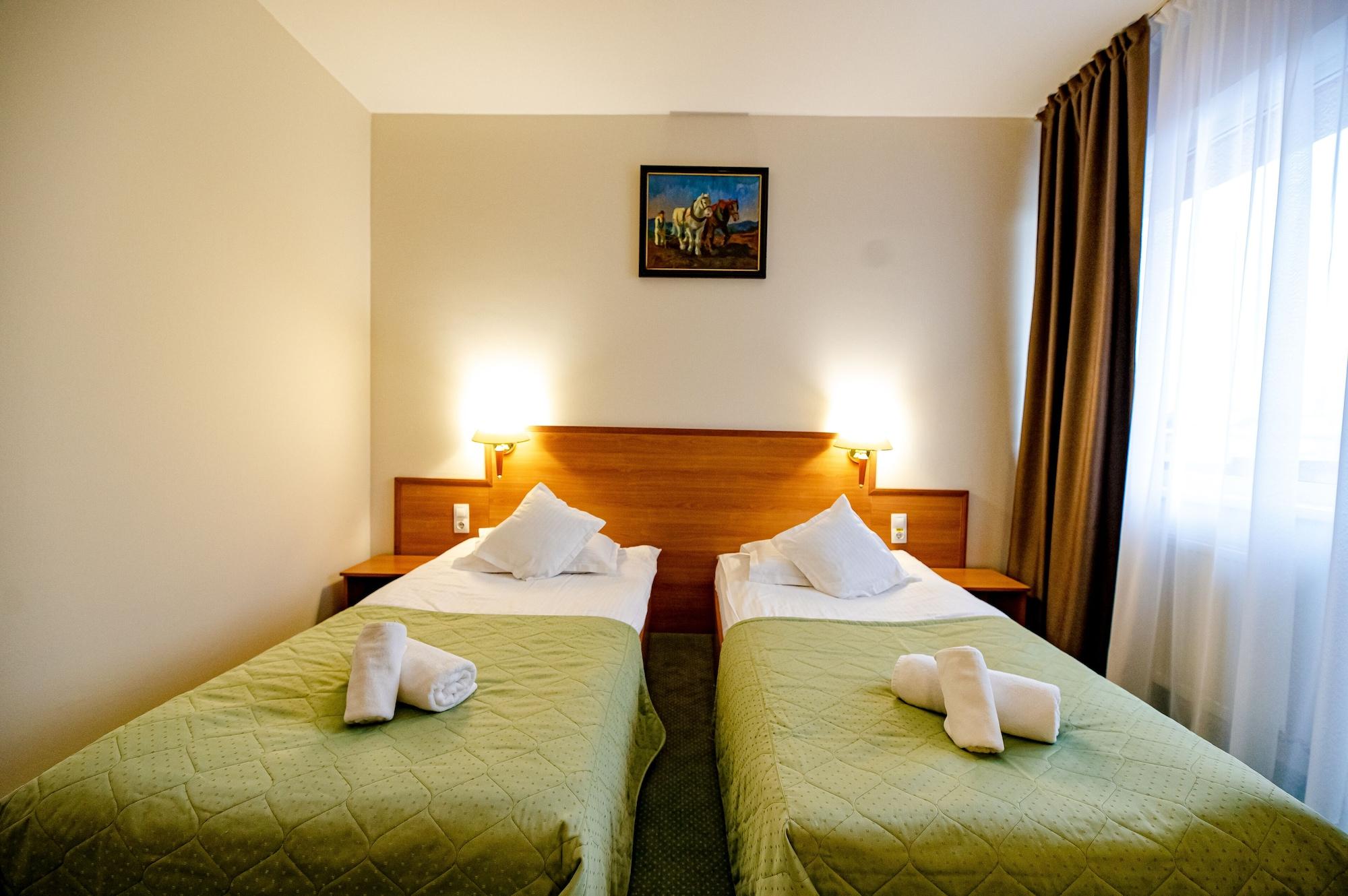 Hotel Rivulus Baia Mare Eksteriør bilde