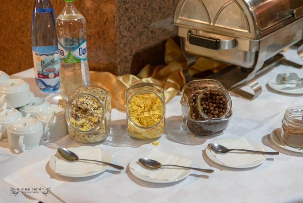Hotel Rivulus Baia Mare Eksteriør bilde